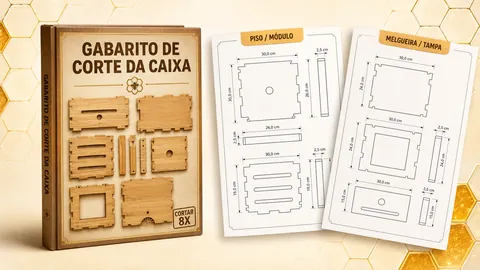 Bônus 2 — Gabarito de Corte da Caixa