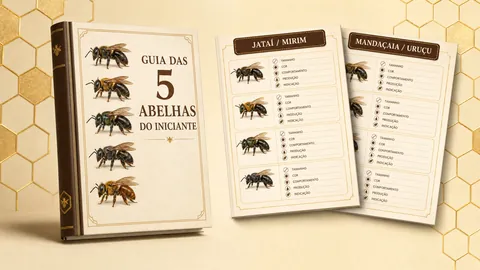 Bônus 4 — Guia das 5 Abelhas do Iniciante
