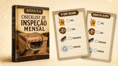 Bônus 6 — Checklist de Inspeção Mensal