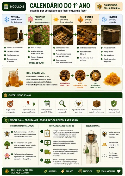 Calendário do 1º ano