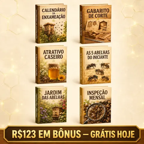 Os 6 bônus inclusos