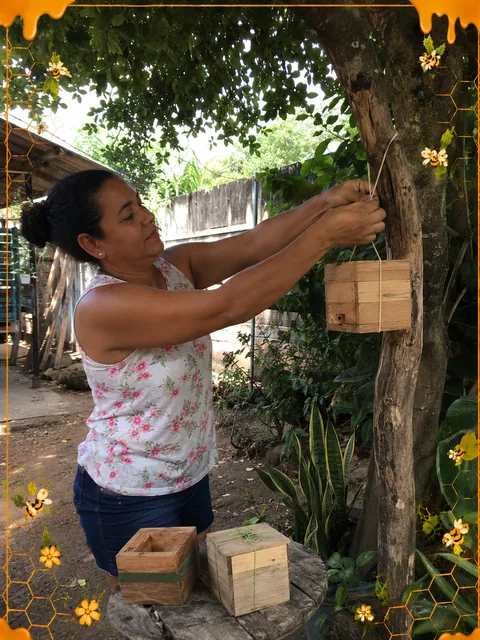 Instalação do meliponário